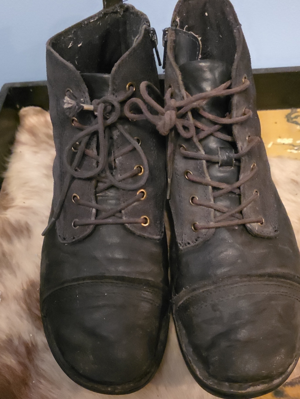 Clarks Whistle Watch Black Suede Leather Lace Up Ankle Boots Zip